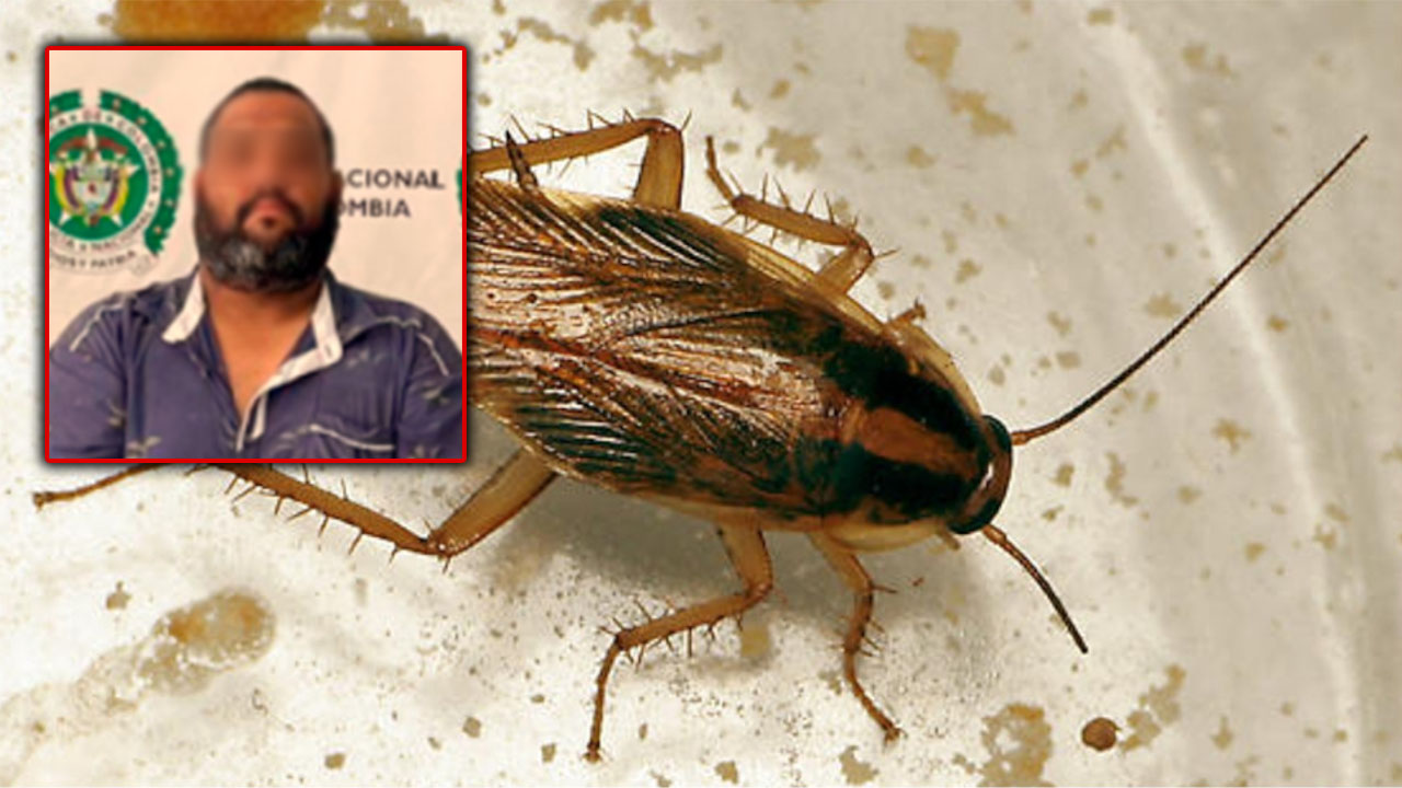 Extorsionaba a un restaurante porque le salió cucaracha en el plato