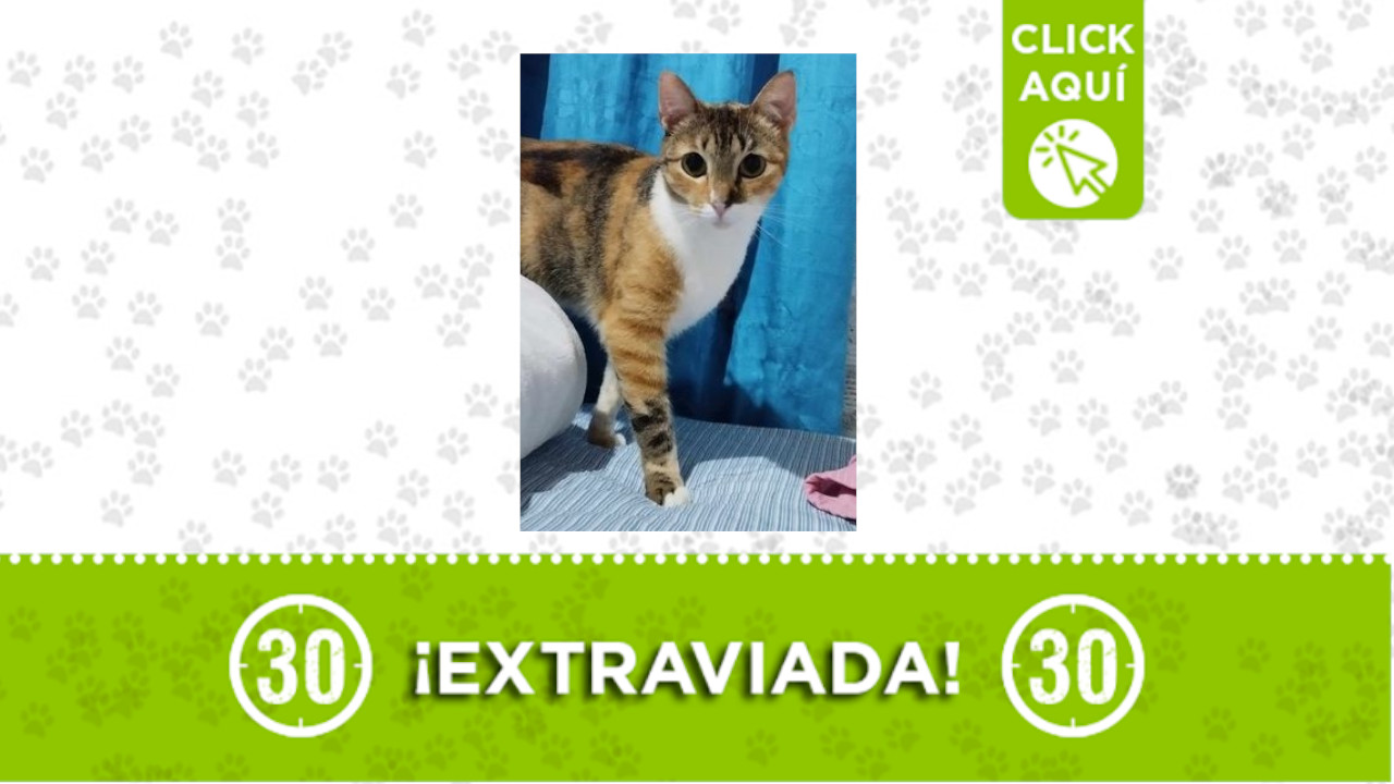 ‘Chana’ se perdió en Robledo Primaveral - Picacho