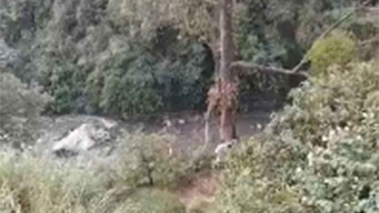 Mañana trágica en Medellín, reportan dos cuerpos sin vida