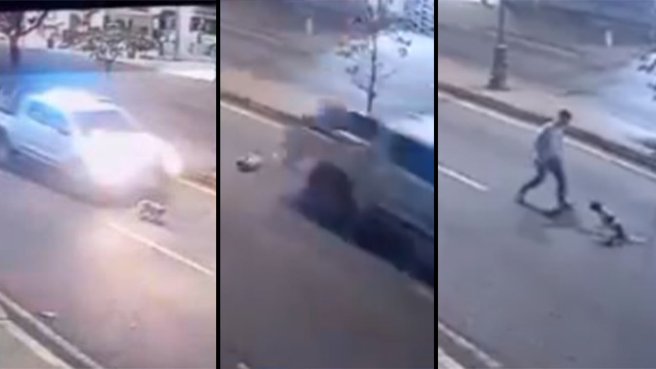 VIDEO. El Ejército ya habló sobre el caso de la perrita atropellada en Bucaramanga ¿Qué dijo?