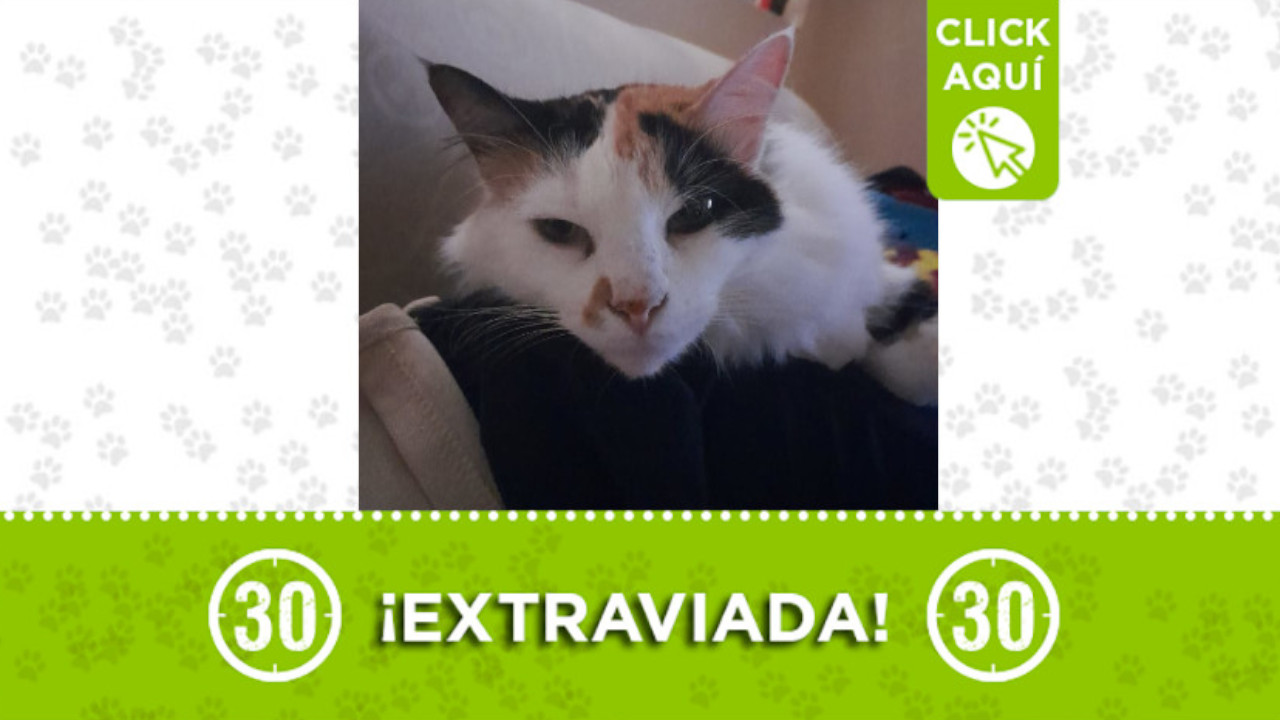 "Niña" se perdió en el barrio Robledo La Aurora