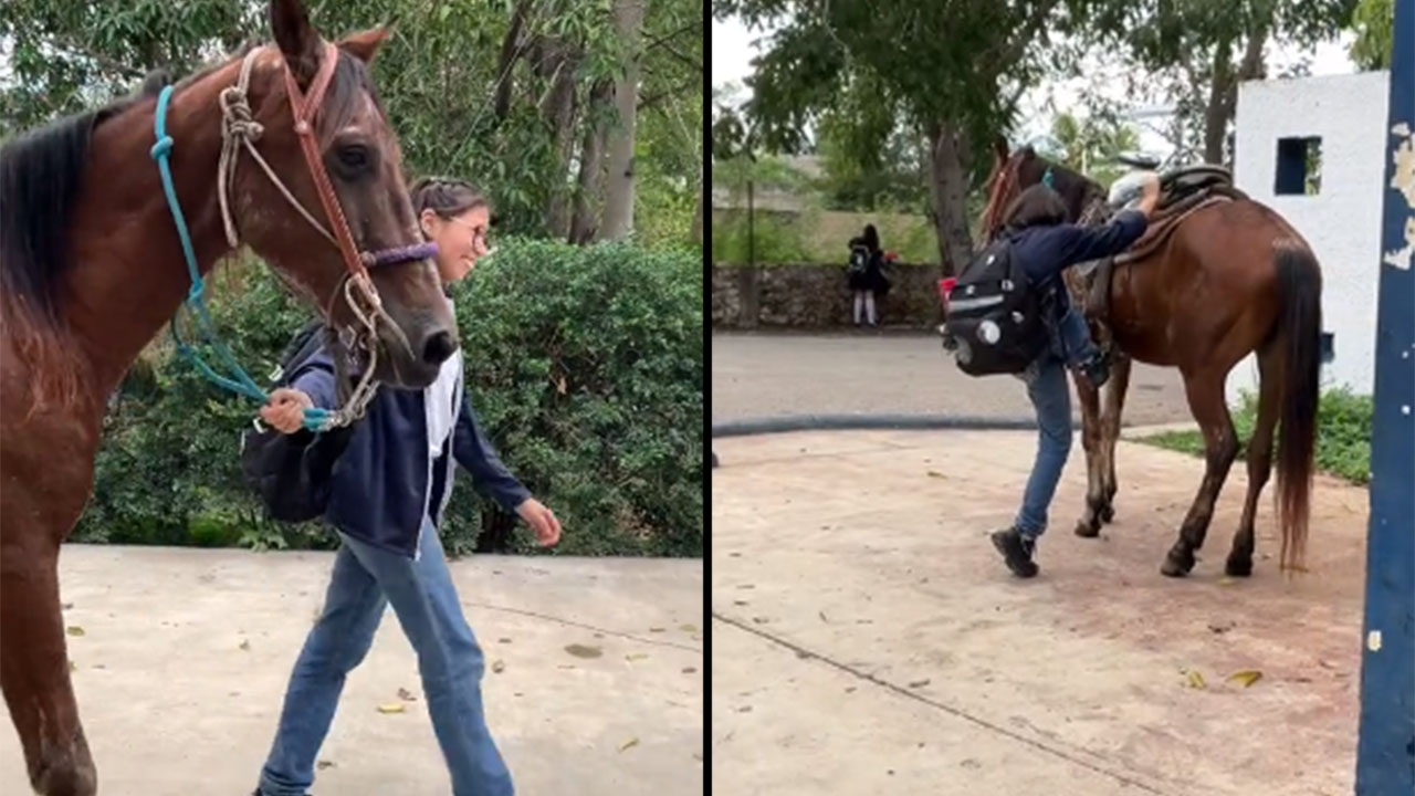 Joven quinceañera cambio fiesta por caballo