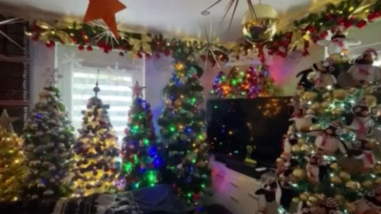 Pareja decoró su casa con 555 árboles de Navidad