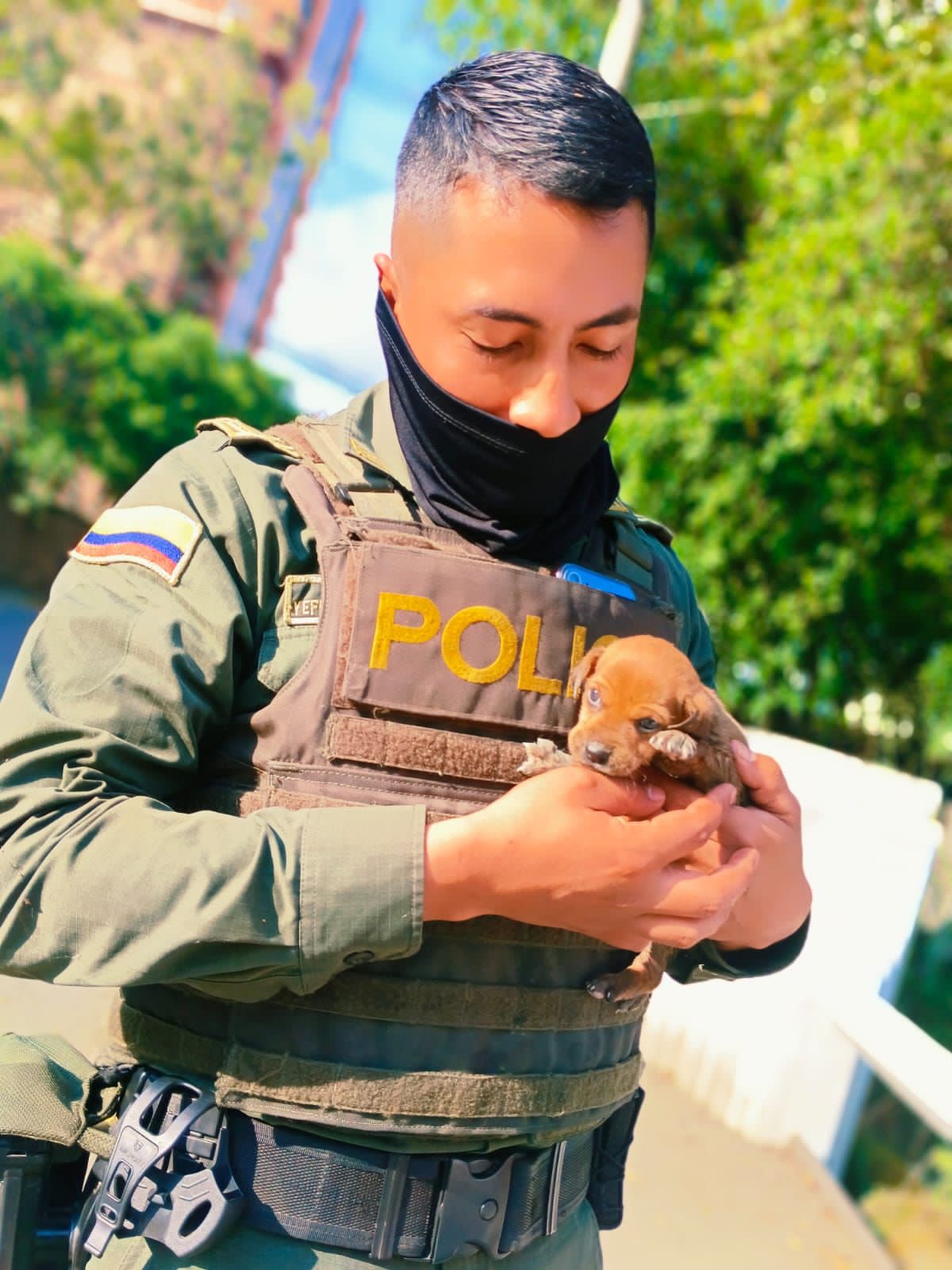 VIDEO. Perro abandonado en el Rio Cali es rescatado por uniformado