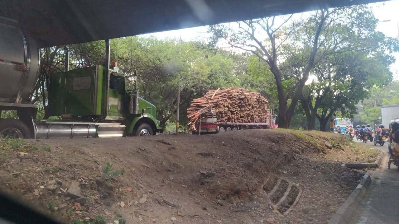 Hay novedad en la avenida Regional