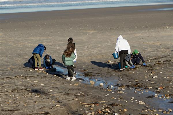 Europarlamentarios presionan para que futura ley de vertidos de pellets incluya los barcos