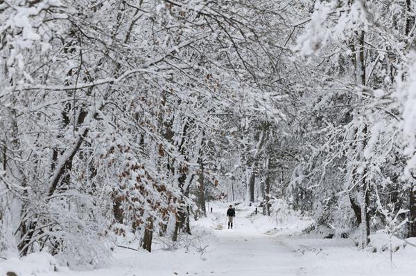 La tormenta invernal en EE.UU. deja al menos tres muertos y cortes de electricidad