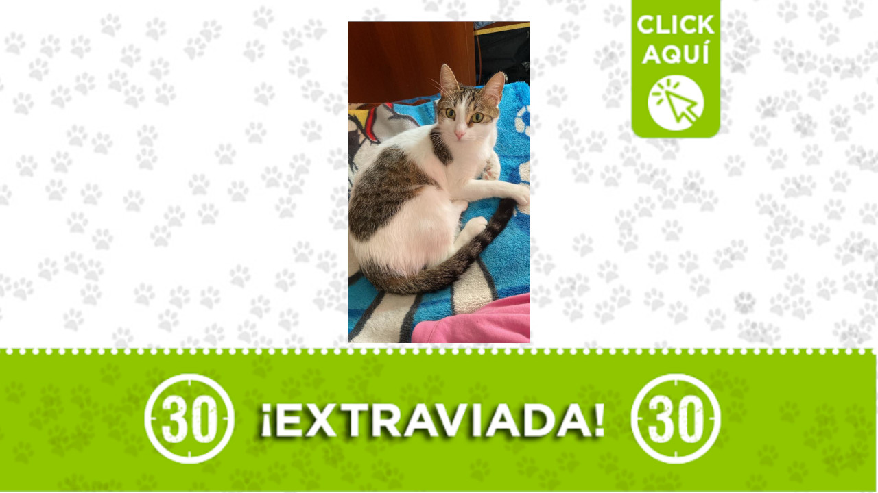 ‘Géminis’ está embarazada y se perdió en La Milagrosa