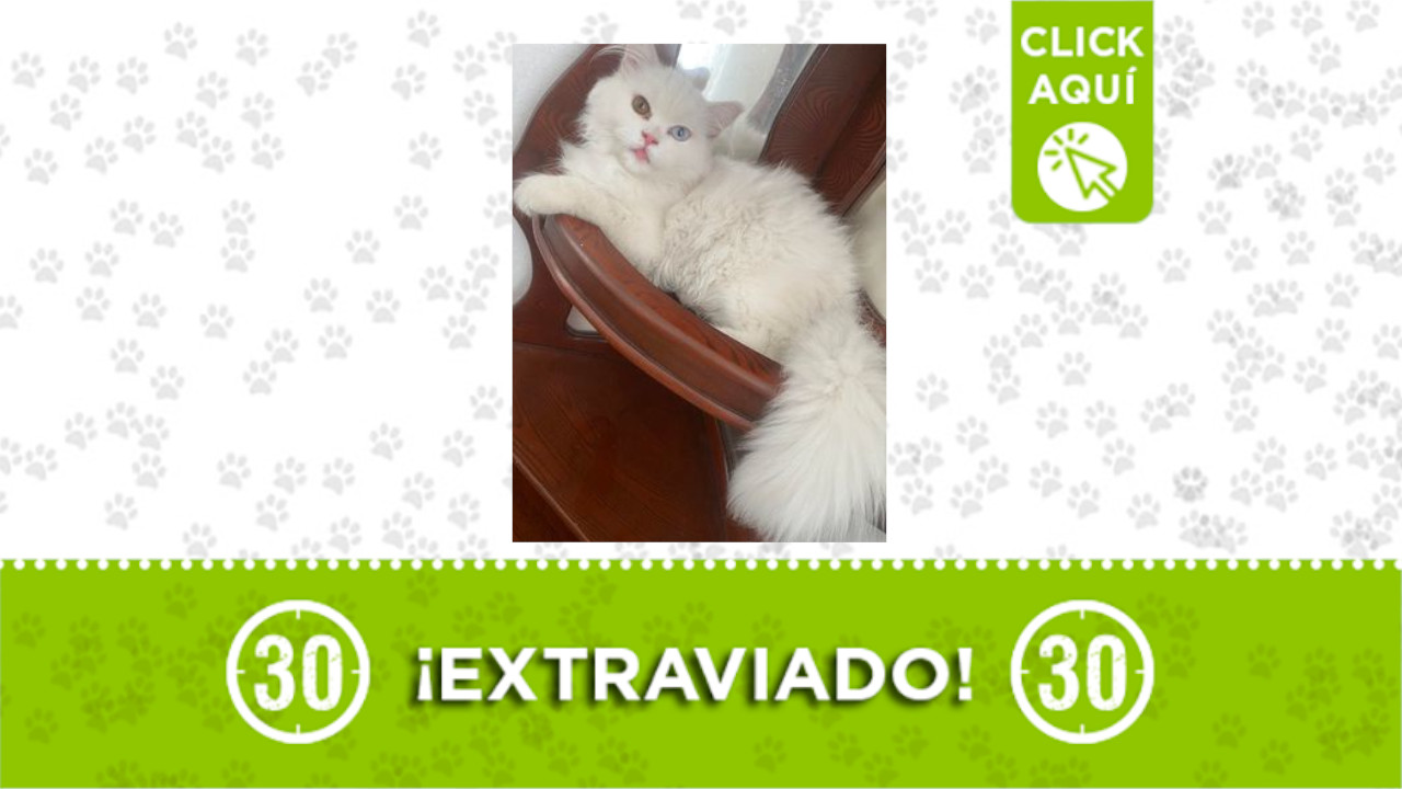 ‘Deimond’ se perdió en Itagüí