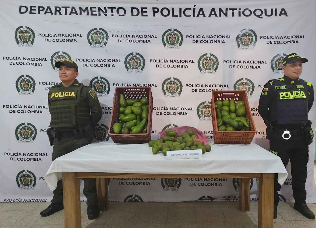 ¡Descarado! Capturado por robarle los aguacates a una campesina de 75 años en San Rafael