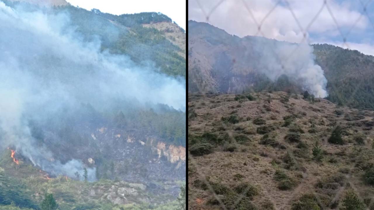 VIDEO. Vuelve y juega: incendio en zona vegetal del Cerro Quitasol