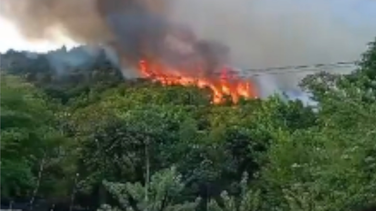 Incendio forestal en la autopista Floridablanca - Piedecuesta