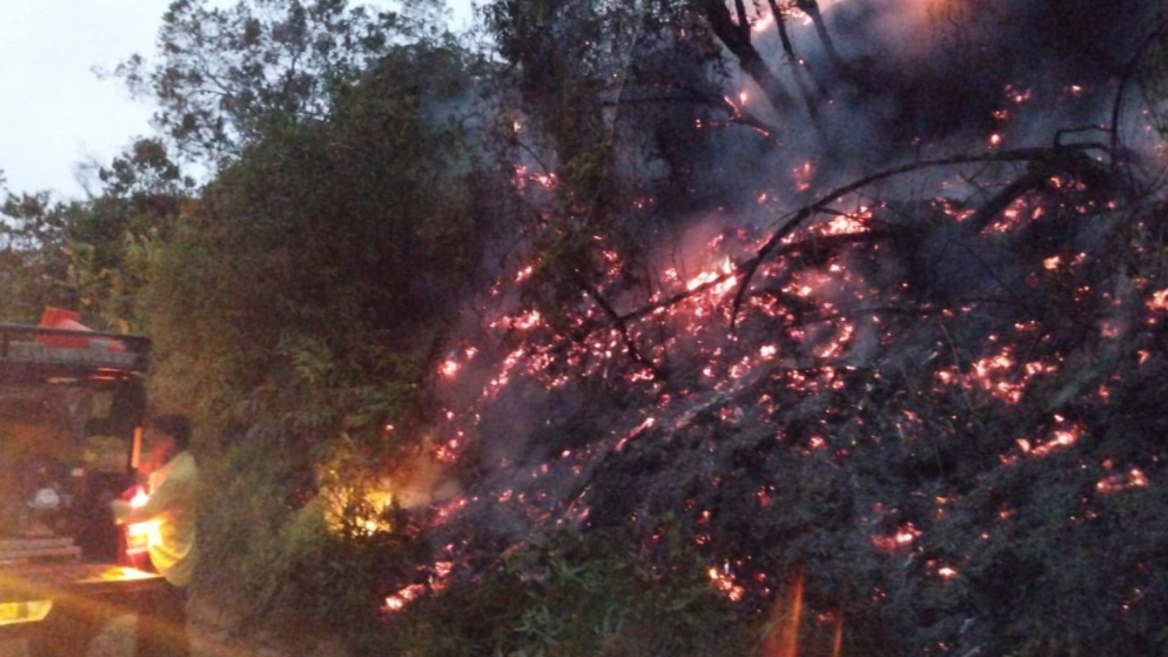 En Medellín van 10 incendios forestales en las últimas 24 horas y 76 en lo que va de enero