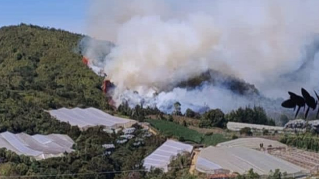 Incendios en Colombia: se registran 21 en diversas zonas en la mañana de este miércoles