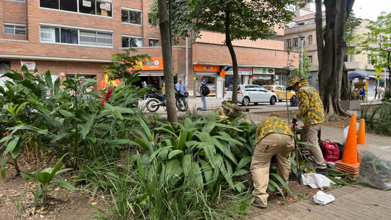 Medellín vuelve a ser la ‘tacita de plata’, con el mantenimiento de 400 mil metros cuadrados de jardines