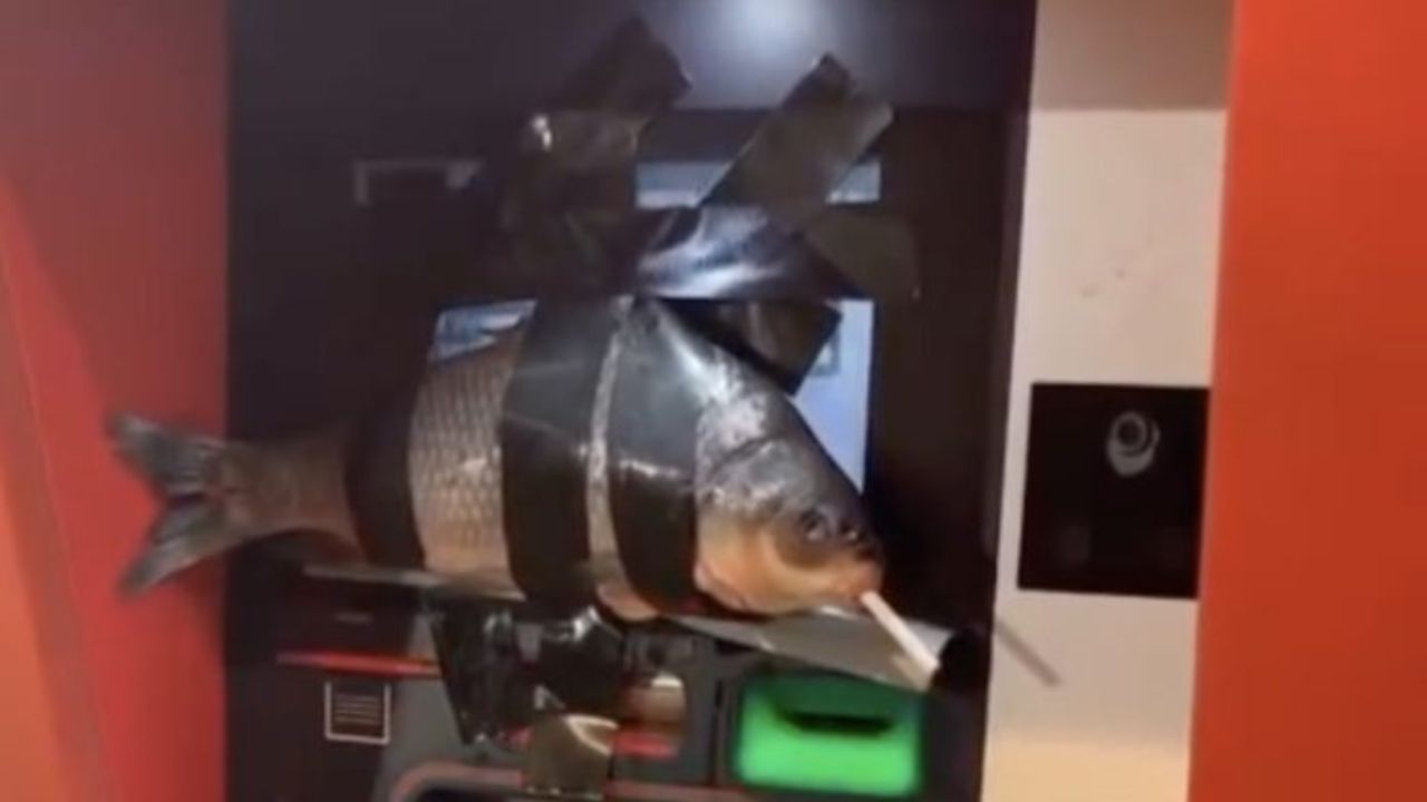 Un adolescente fue arrestado por pegar pescados en cajeros automáticos