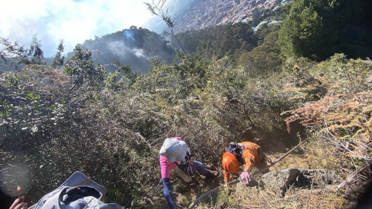 Van 21 animales rescatados por incendios en los cerros de Bogotá