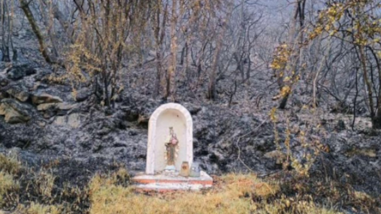 Virgen del Carmen quedó intacto tras incendios en Pamplona
