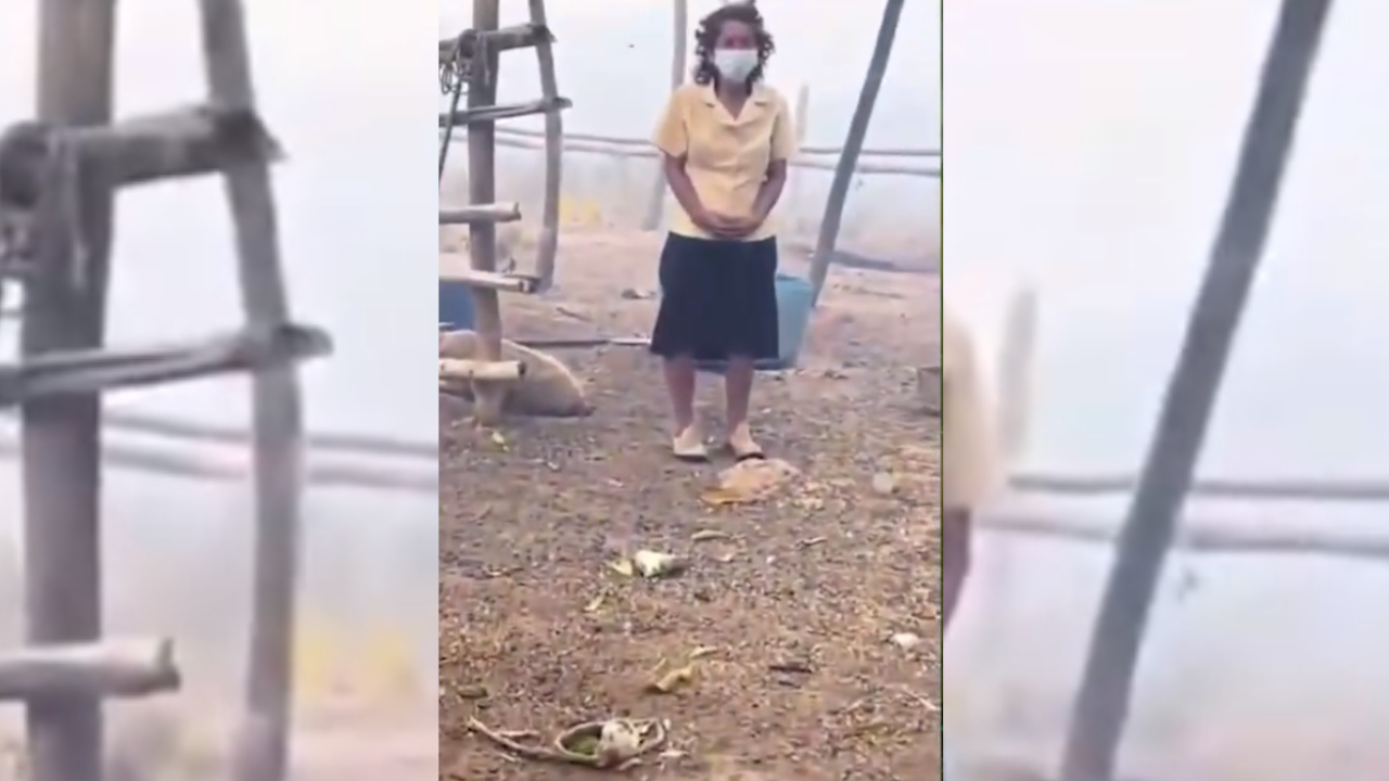 'Conmovedora historia': Adulta mayor no quiso desocupar su casa, en medio de un incendio forestal, por cuidar a sus animalitos