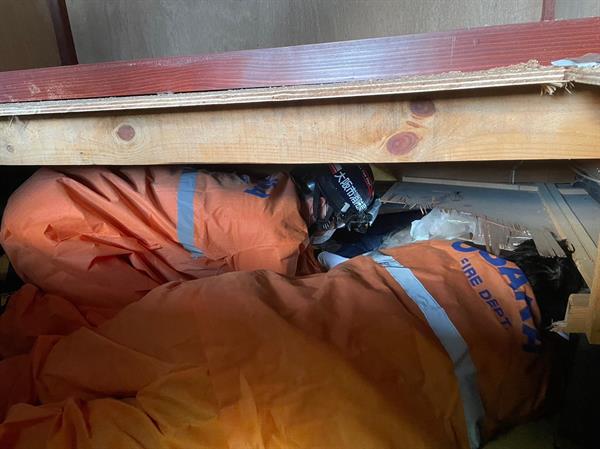 Un perro salva a una anciana en Japón 72 horas después del terremoto