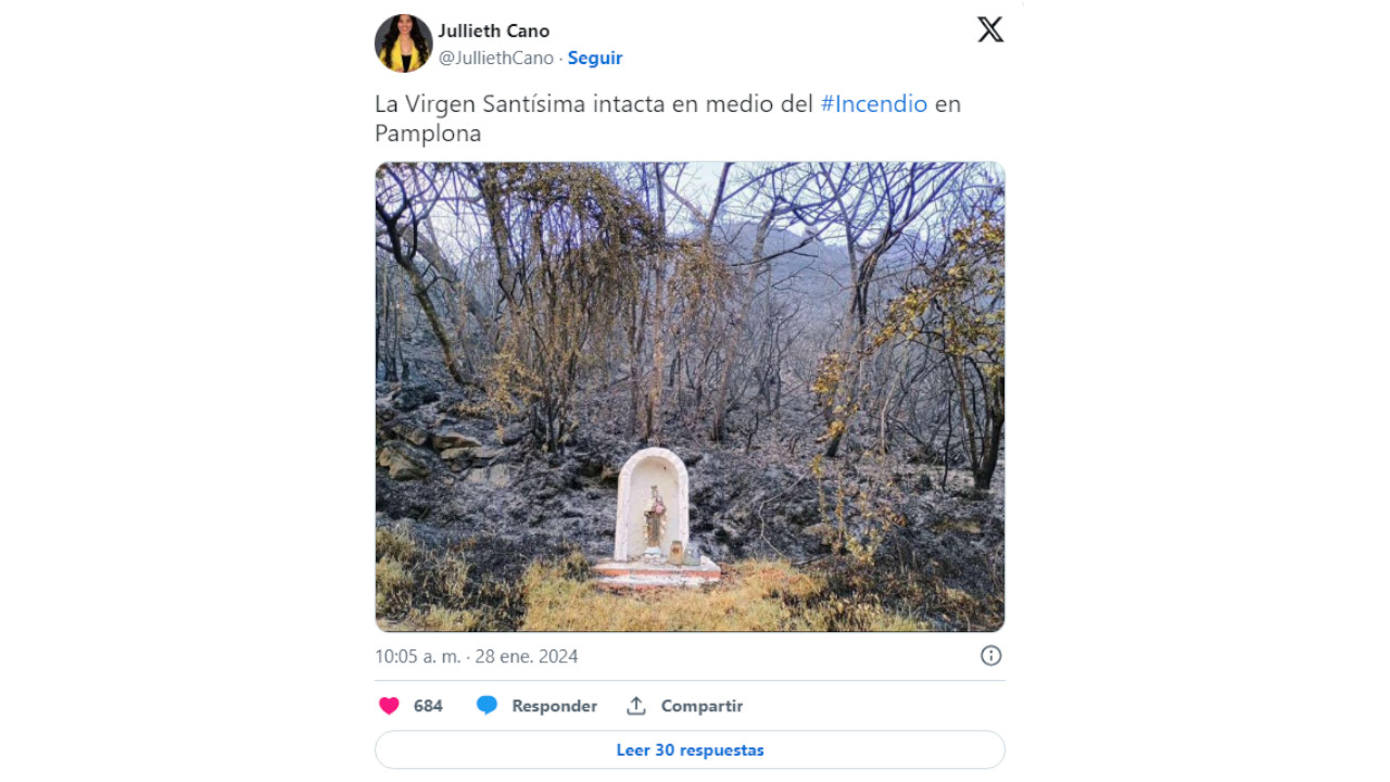 altar de la Virgen del Carmen quedó intacto tras incendios forestales en Pamplona
