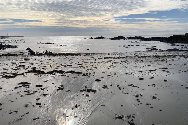 Las corrientes hacia el norte salvan la pesca en Portugal del desastre de los pellets