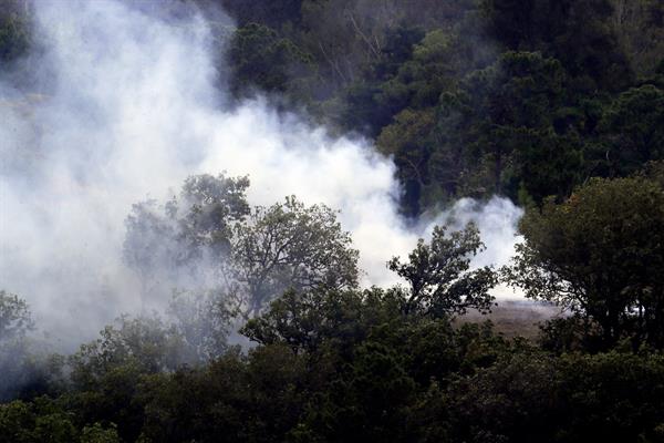 Honduras, que registró 3.052 incendios forestales en 2023, lanza una campaña preventiva