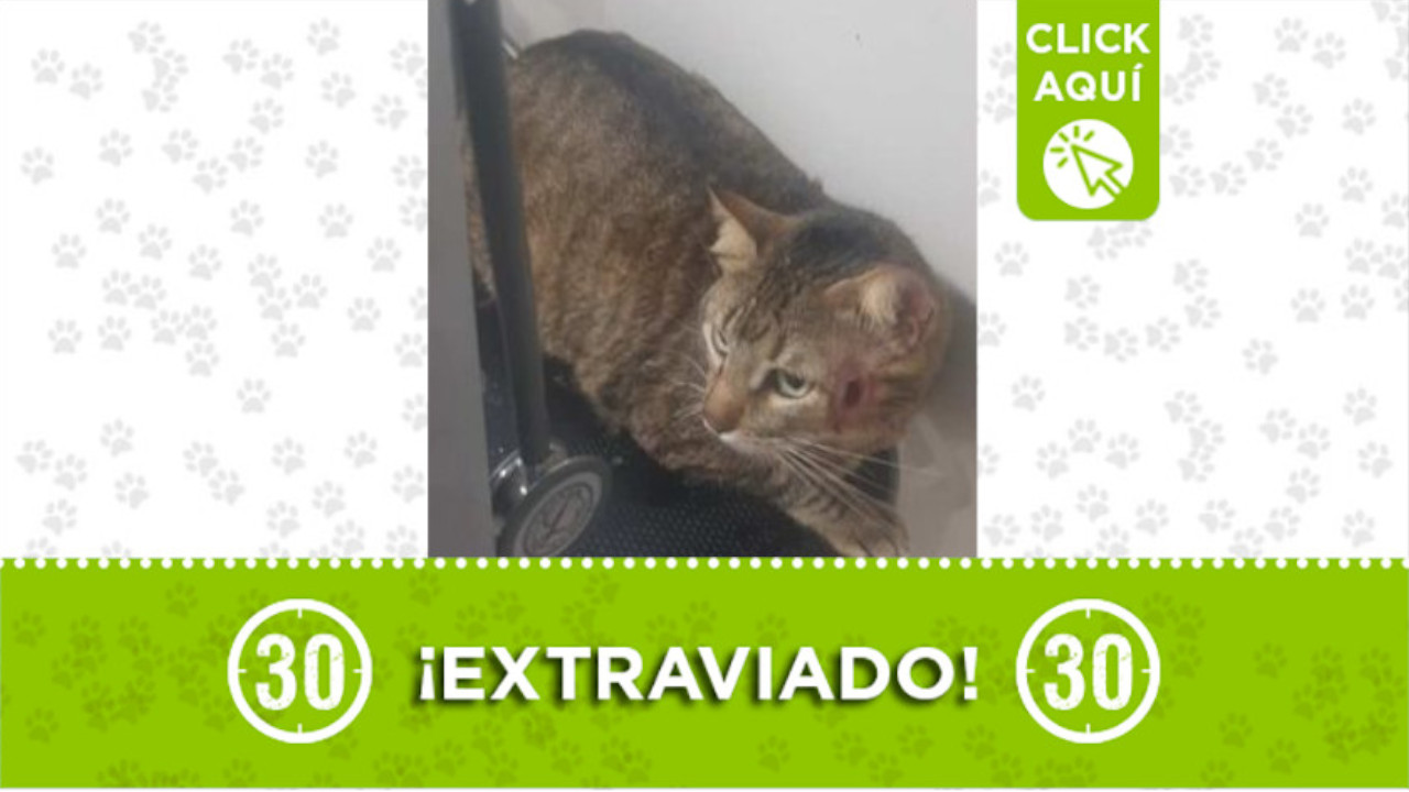 "Ares" se perdió en el sector El Chagualo