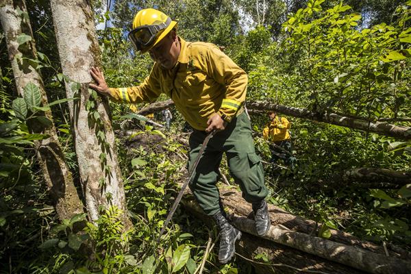 Guatemala registra 158 incendios, la mayoría forestales, en la temporada 2023-2024