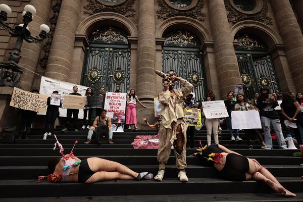 Activistas protestan para exigir que Ciudad de México prohíba las corridas de toros