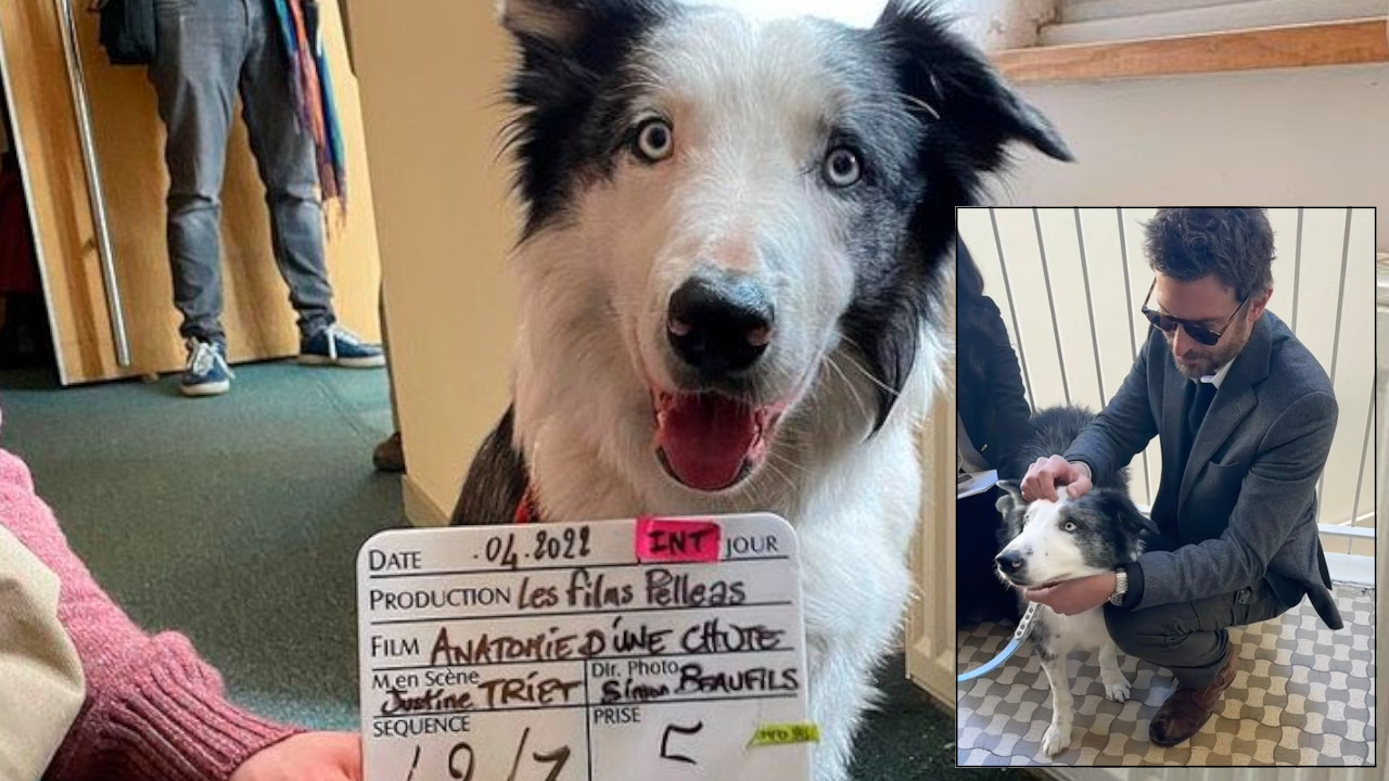 ‘Messi’ la superestrella en los premios Óscar