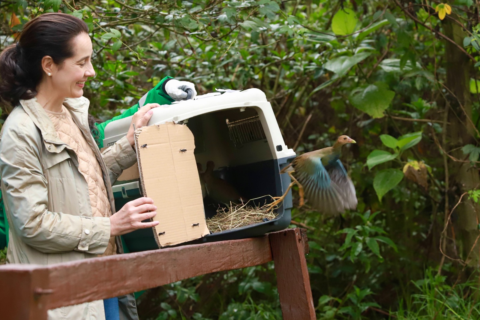 Día Mundial de los Humedales: "son como los riñones de la ciudad"