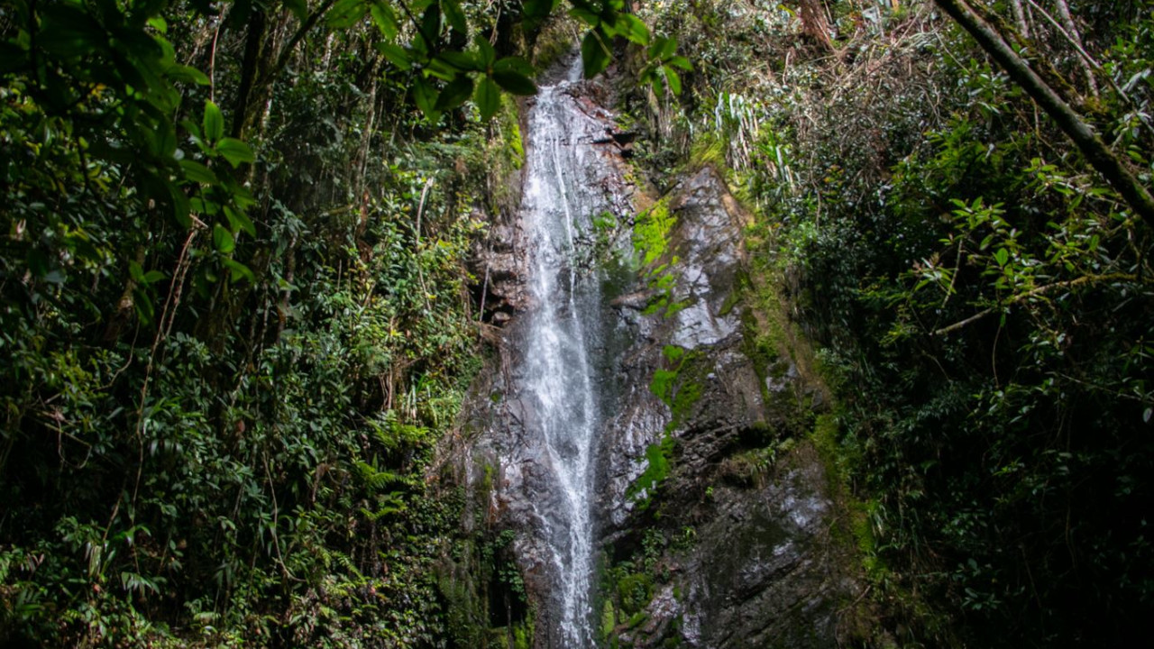 Alcaldía de Medellín entrega recomendaciones para proteger los cerros tutelares durante el fenómeno de El Niño