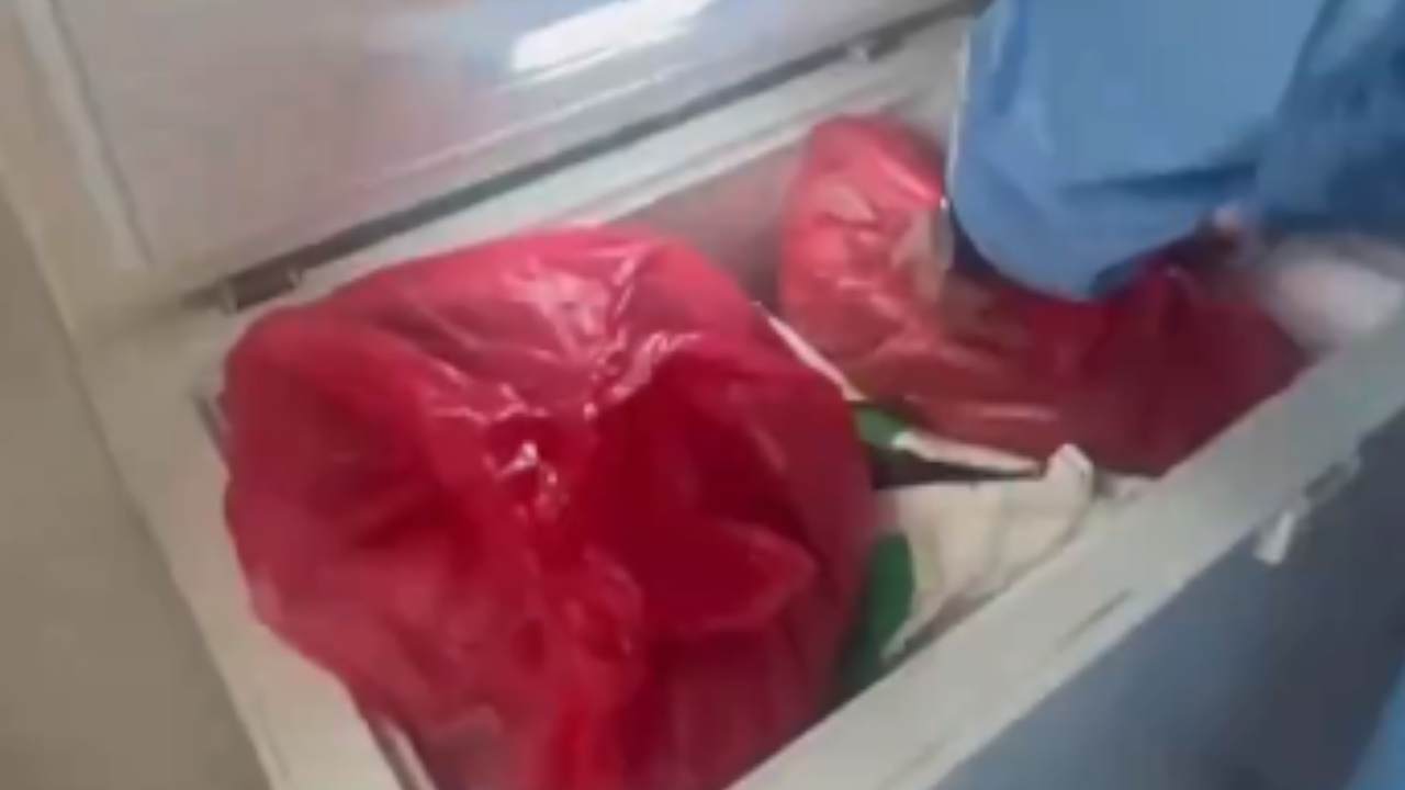 Hallaron animales muertos en un congelador en Bucaramanga