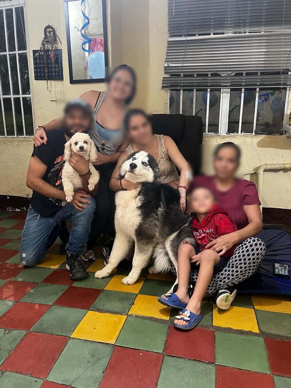 Foto suministrada por la propietaria de las mascotas