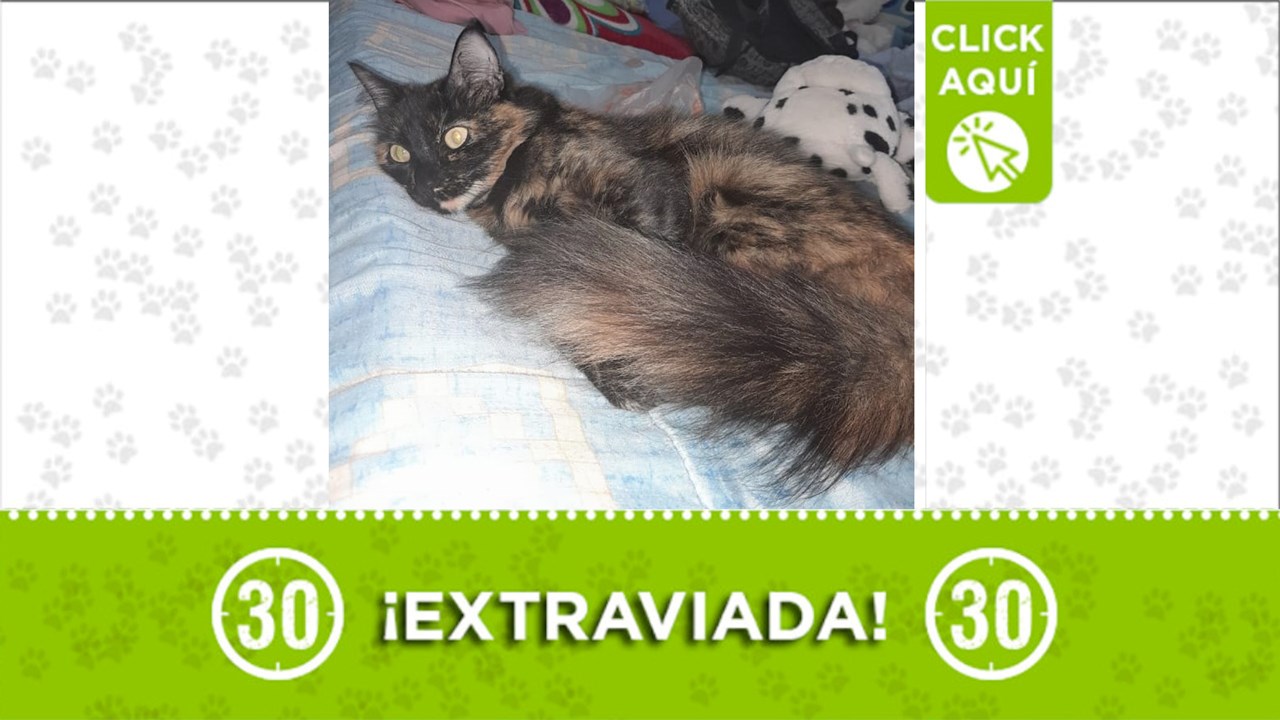 Isis se perdió en Manrique Santa Cecilia, al parecer huyó luego del temblor