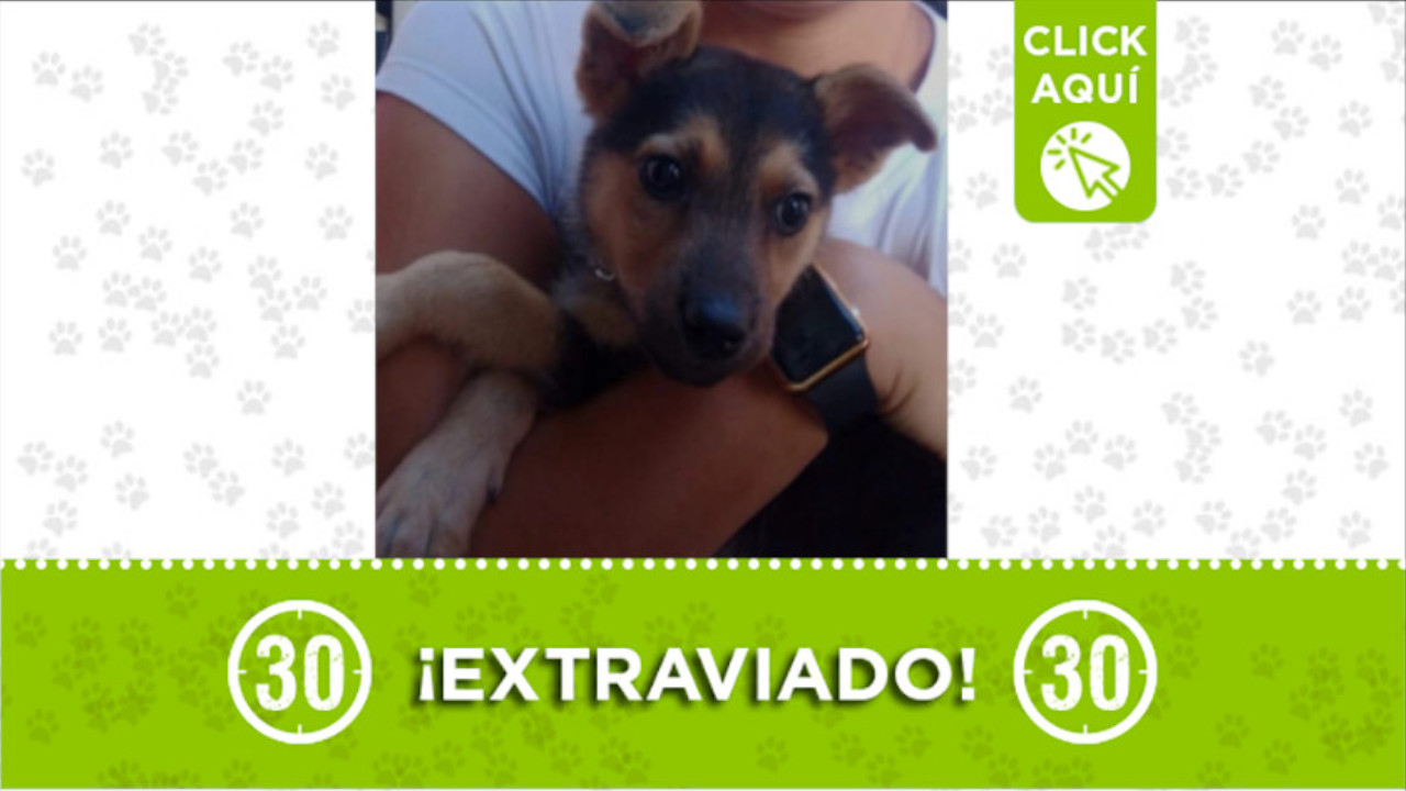 "Kian" se perdió en el Valle de Aburrá