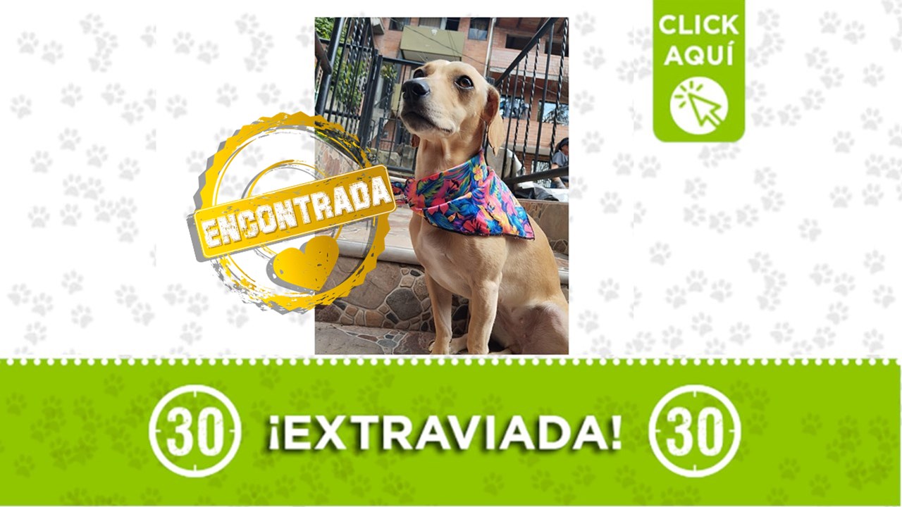 Kira está de regreso con su familia, luego de haberse perdido en Castilla