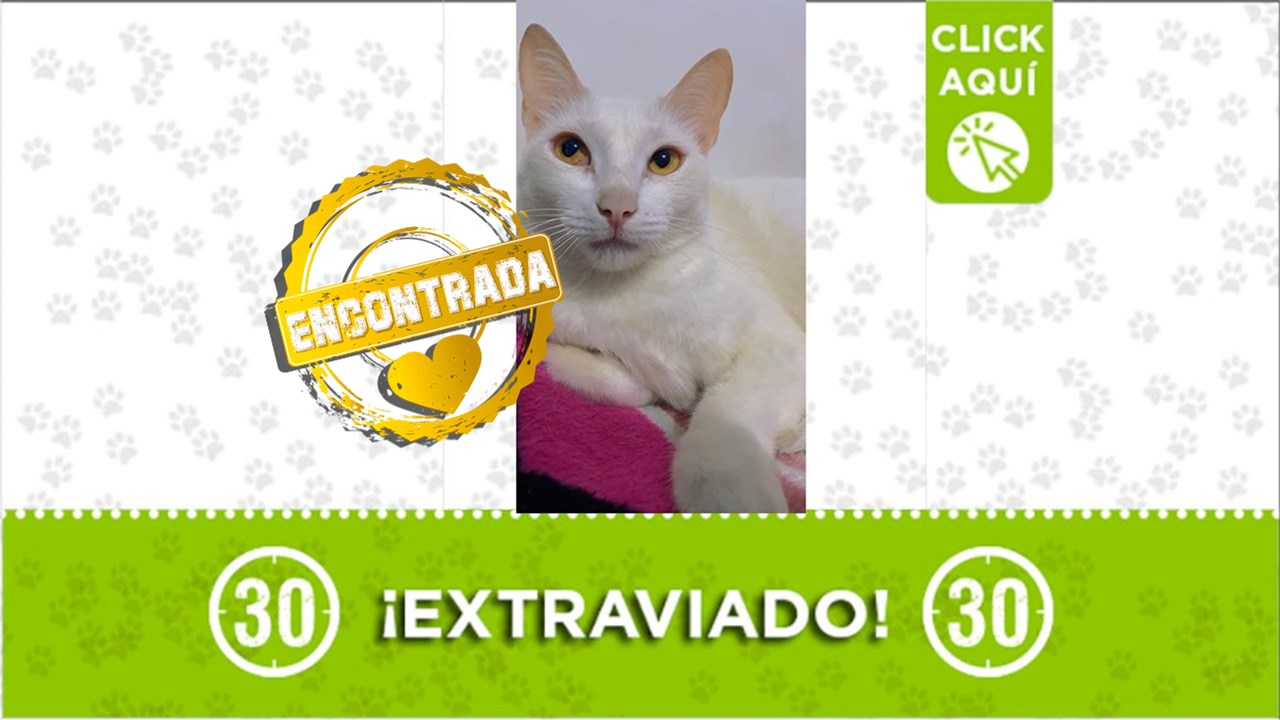 ¡Encontrada! Nieve ya está con su familia