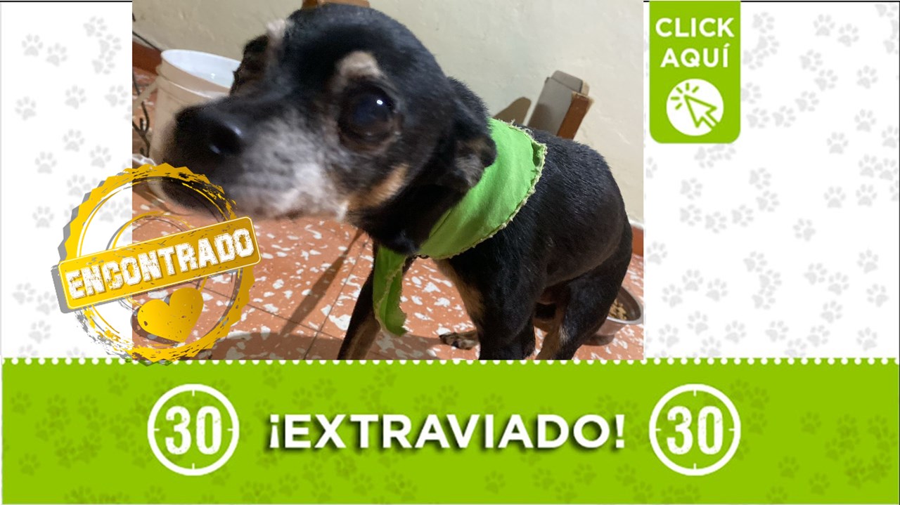 Patuleco regresó a su hogar y ya recibe los cuidados que requiere