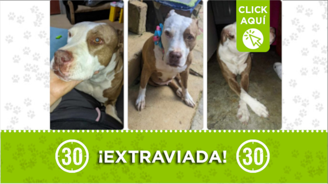 "Hanna" se perdió en el barrio Popular 1