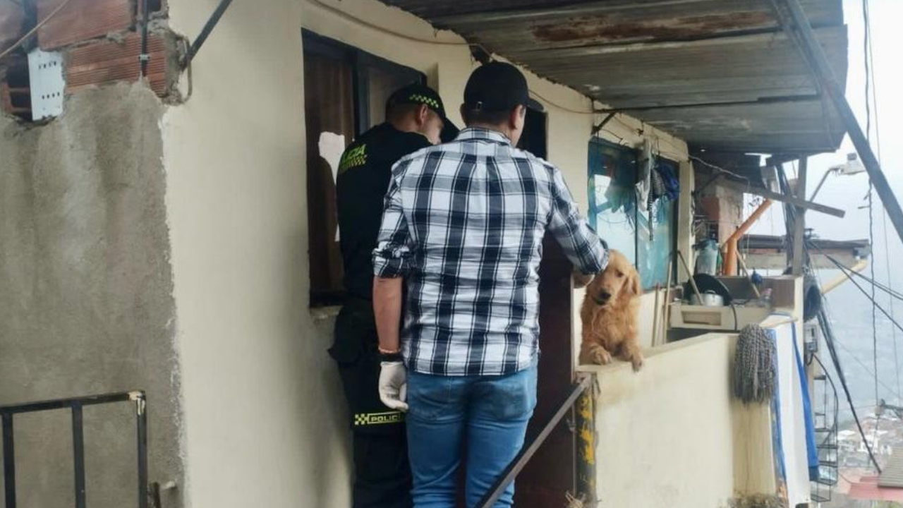 Maltrato animal: recataron dos caninos en el barrio La Avanzada