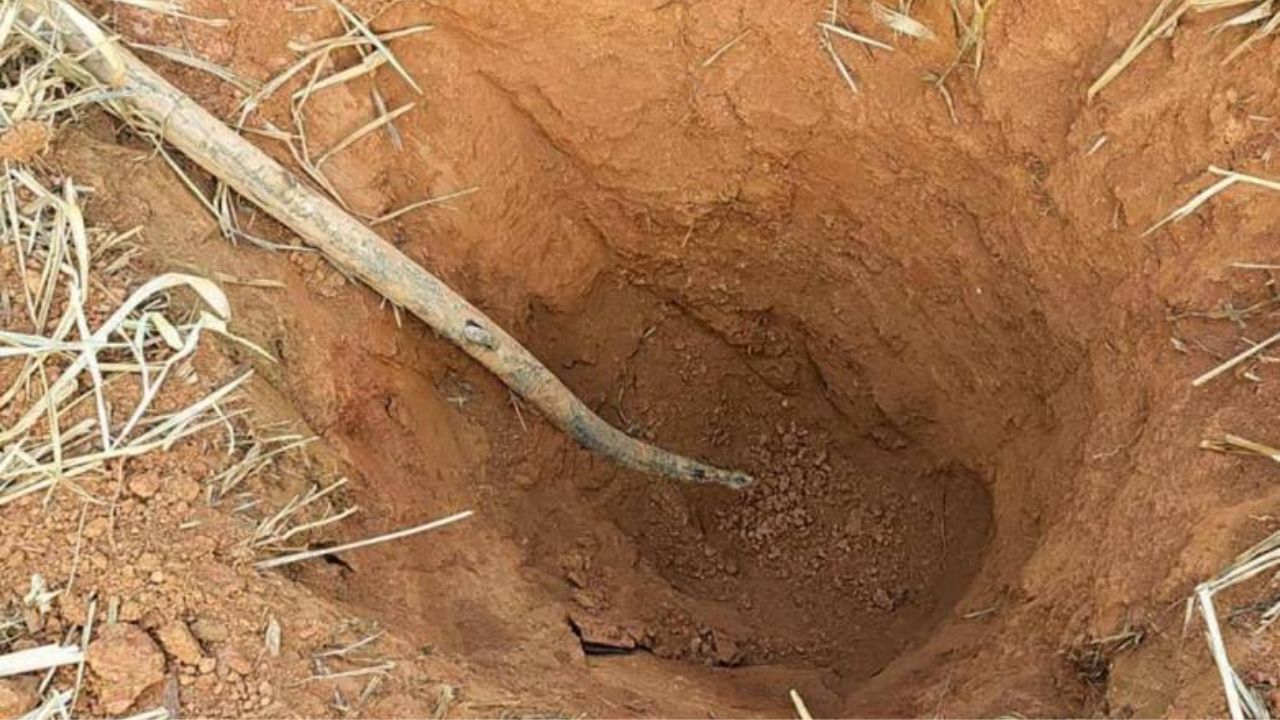 Capturan a cuatro hombres que robaban gasolina en poliducto de San Roque