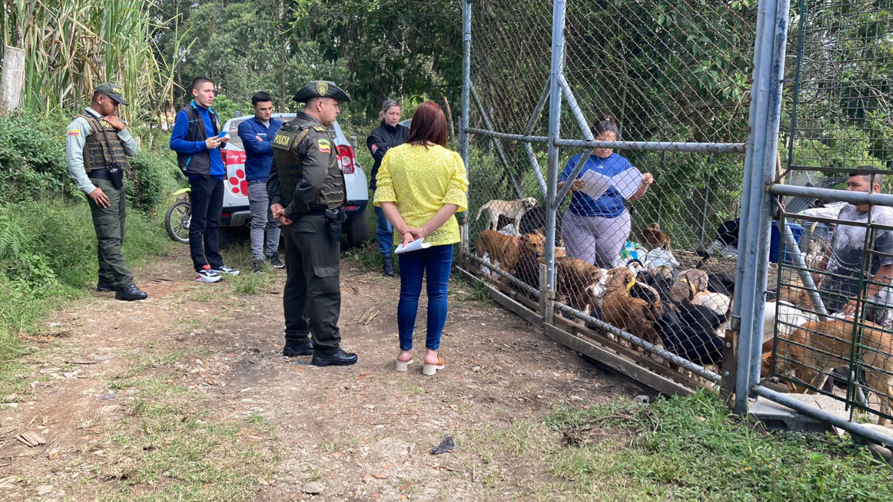 Bajo custodia policial quedaron 11 caninos por maltrato animal
