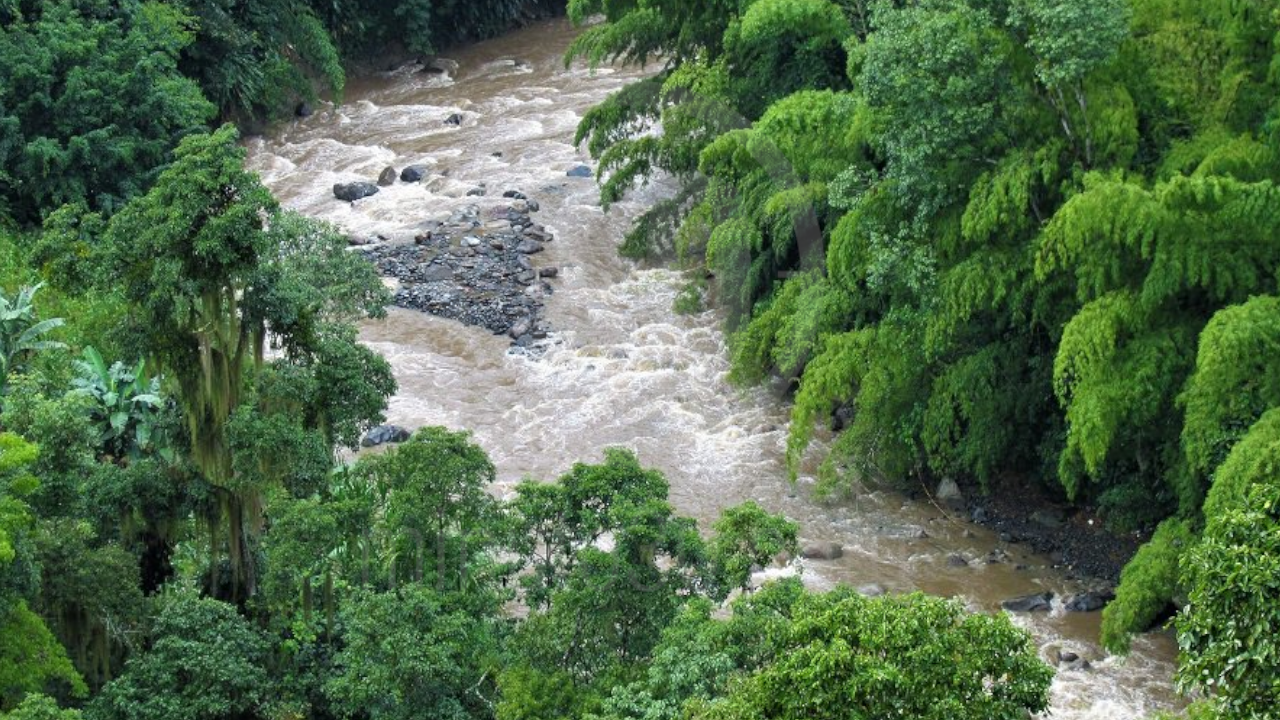 Cuerpo sin vida de un masculino en el río San Juan en Antioquia