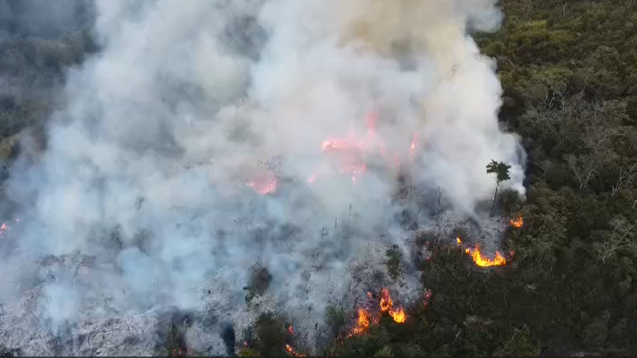 Tremendo incendio cerca a una pinera en vía vereda el Yolombo, corregimiento de San Cristóbal