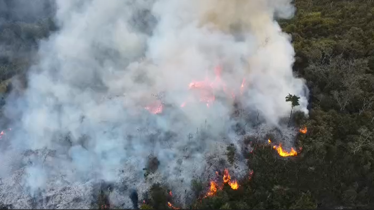 Tremendo incendio cerca a una pinera en vía vereda el Yolombó, corregimiento de San Cristóbal