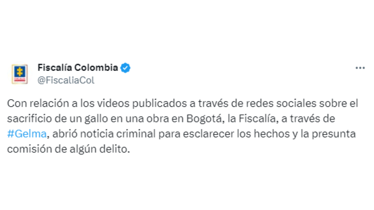 La Fiscalia abrio caso para determinar si el sacrificio de un gallo en una obra en Bogotá, fue un delito
