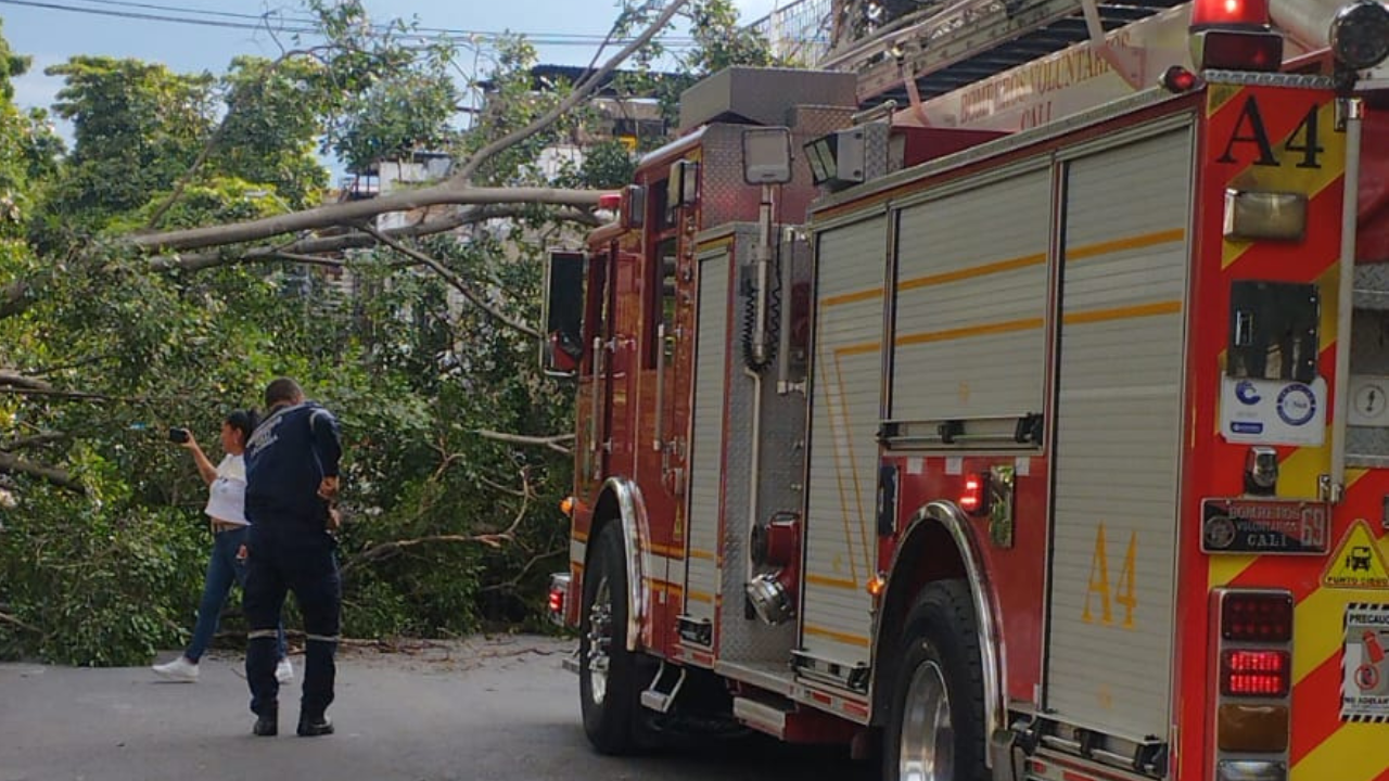 Situación de emergencia reportada en Cali: Árbol cae en la intersección de la Calle 38 con la Carrera 41F.