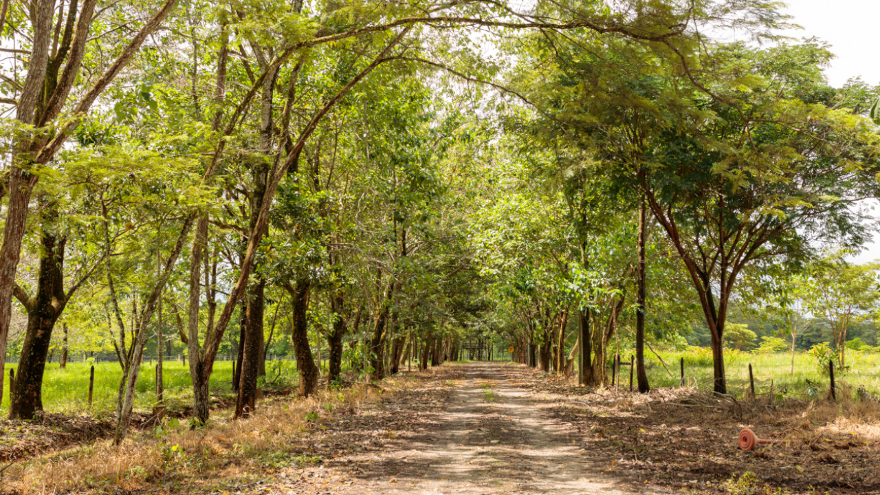 Ecoreserva ASA La Guarupaya